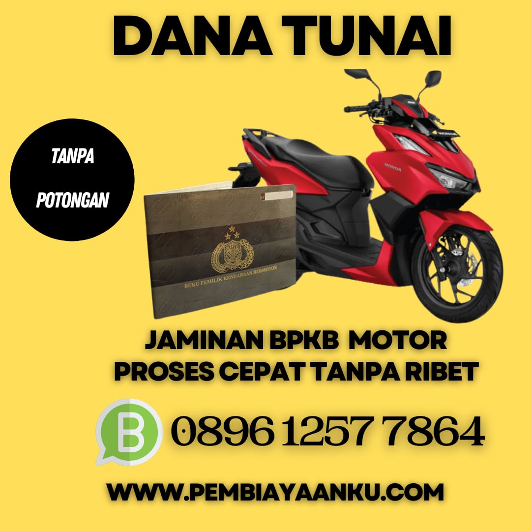 WhatsApp Image 2026-02-04 at 20.59.46